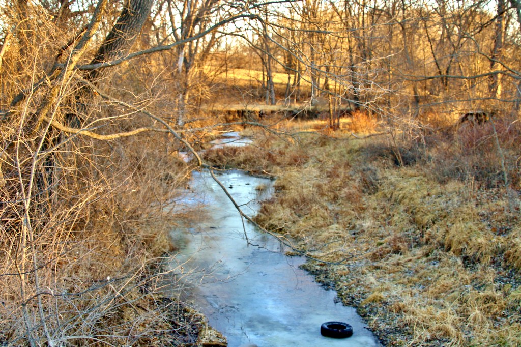 Creek by lynnz