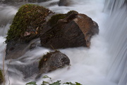 1st Feb 2018 - Silky water..........