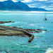 the entrance to the old harbour in Hermanus. by ludwigsdiana