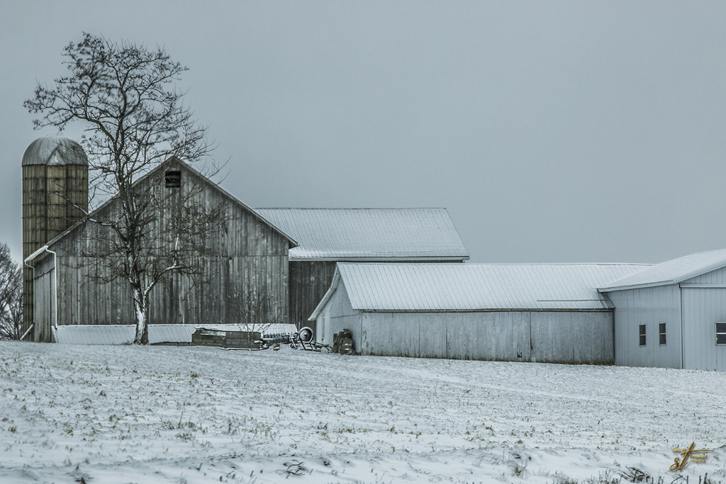 Amish Farm in Winter by skipt07
