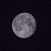 Moon Filler by tonygig