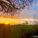 Glimpse of sunrise  by 365projectdrewpdavies