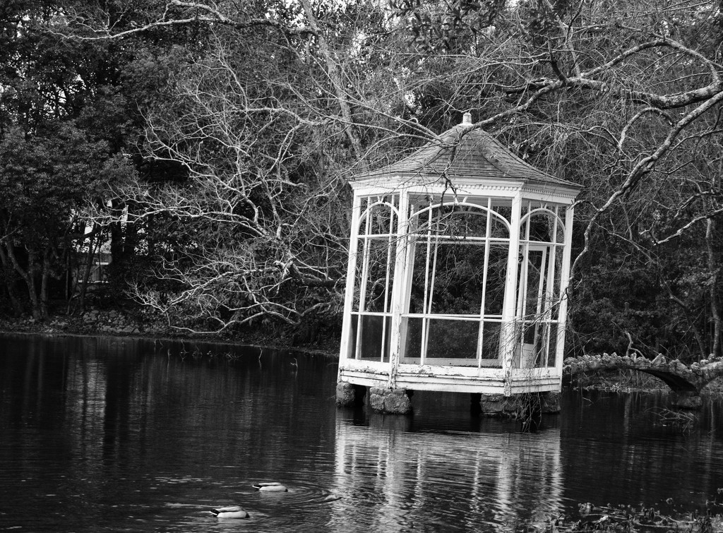 Leaning gazebo by eudora