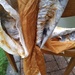 Rust-printing and natural dyes by cpw