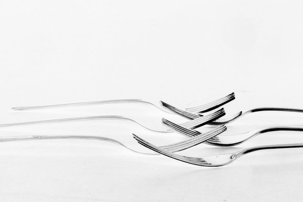 Forks by jayberg