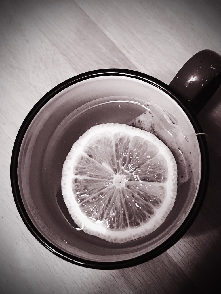 Day 140:  Tea With Lemon by sheilalorson