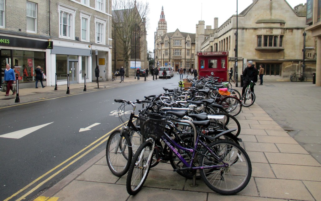 Cambridge Bikes by g3xbm