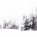 2017-02-04 winterwonderland by mona65