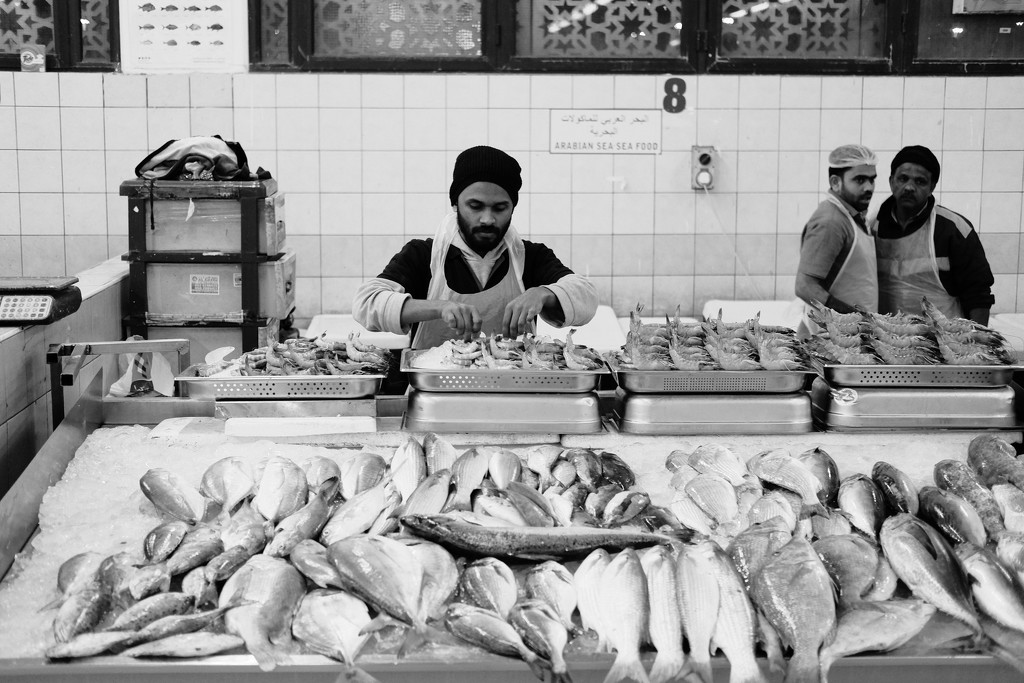 Mina fish market, Abu Dhabi by stefanotrezzi