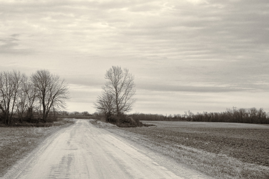 Dirt Road by lsquared