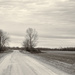 Dirt Road by lsquared