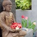 Zen Garden by redy4et