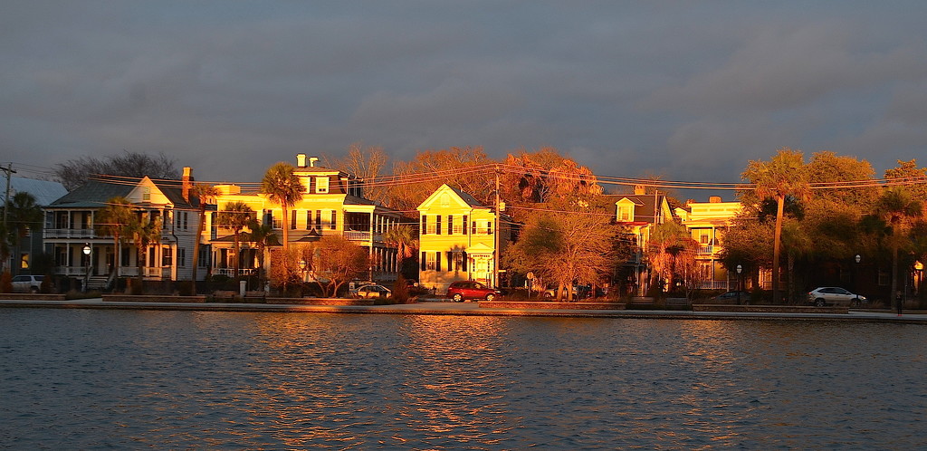 Late afternoon light, Colonial Lake, Charleston, SC by congaree