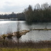 Bodenham Lake by susiemc