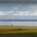 across the firth  by sarah19