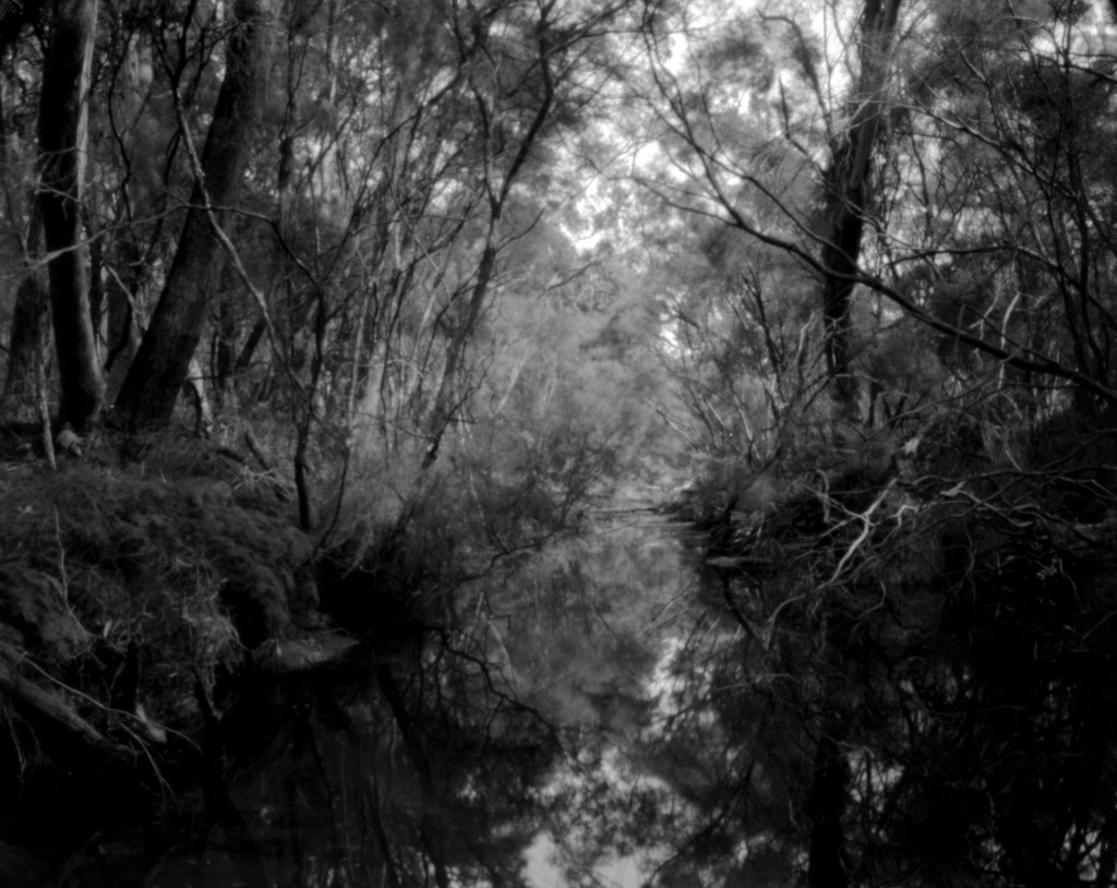 Creek by peterdegraaff