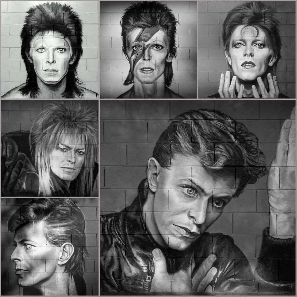 bowie2 by blueberry1222