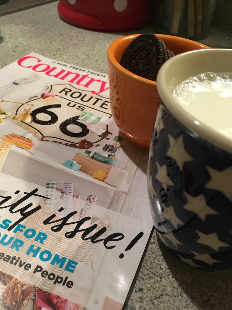 oreos + milk + a new magazine  by wiesnerbeth