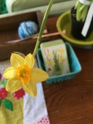 5th Feb 2018 - daffodils were on sale this week