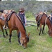 Horse Riders by leggzy