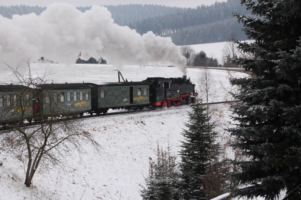 Steam train ride by busylady