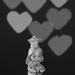 The Queen Of Hearts_DSC7674  by merrelyn