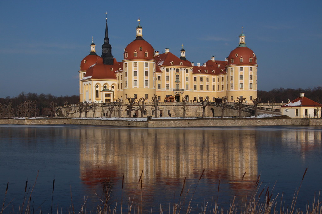Moritzburg Castle by busylady