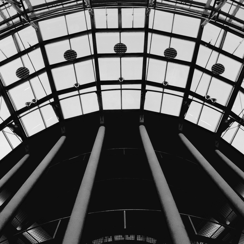 looking up in B&w by vincent24
