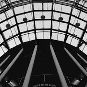 7th Feb 2018 - looking up in B&w