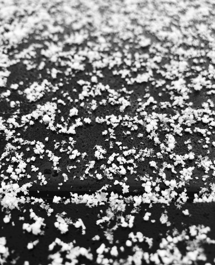 Snow flakes by 365projectdrewpdavies