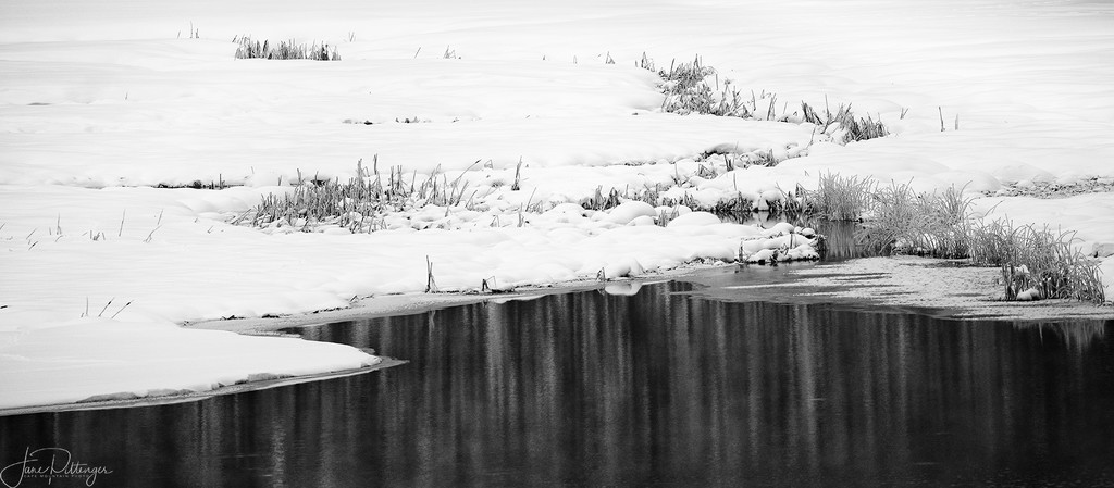 Winter Reflections  by jgpittenger