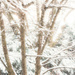 Tree in the snow blur by jernst1779