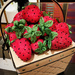 The Strawberry Basket by yogiw