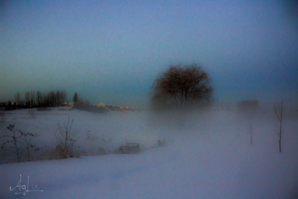 Fog by adi314
