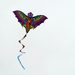 Colorful Kite by seattlite