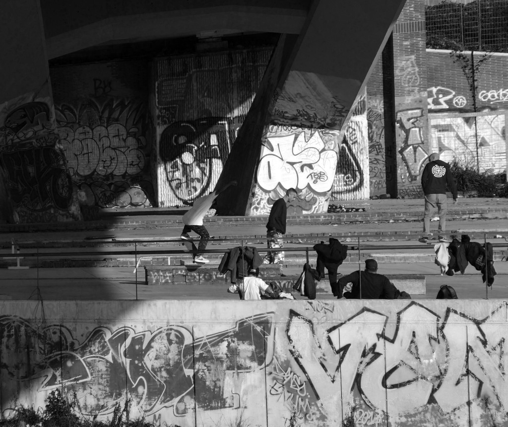 Skateboardes by frappa77