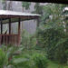 Rain in the Rain Forest, Costa Rica by annepann