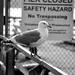 Seagull Hazard by stephomy