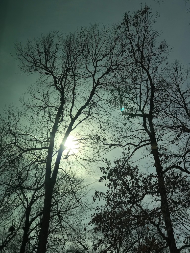 winter sun by kdrinkie