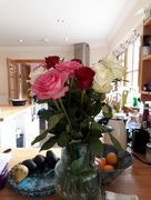 9th Feb 2018 - Roses in the kitchen at Kate's place