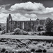 Bolton Abbey by pamknowler