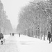 Oh Champs Elysées! by jamibann