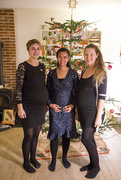 25th Dec 2017 - The pregnant photo