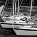 Boats at the Harbour by frequentframes