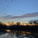 sunset at Ladd S. Gordon wildlife preserve by bigdad