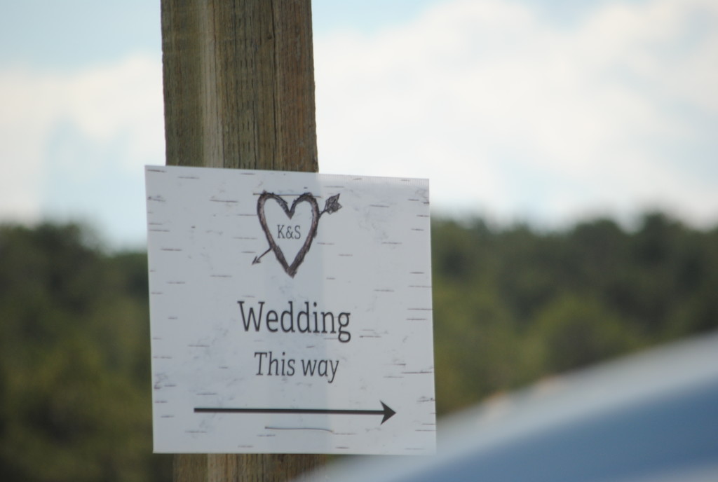 Wedding This Way by genealogygenie