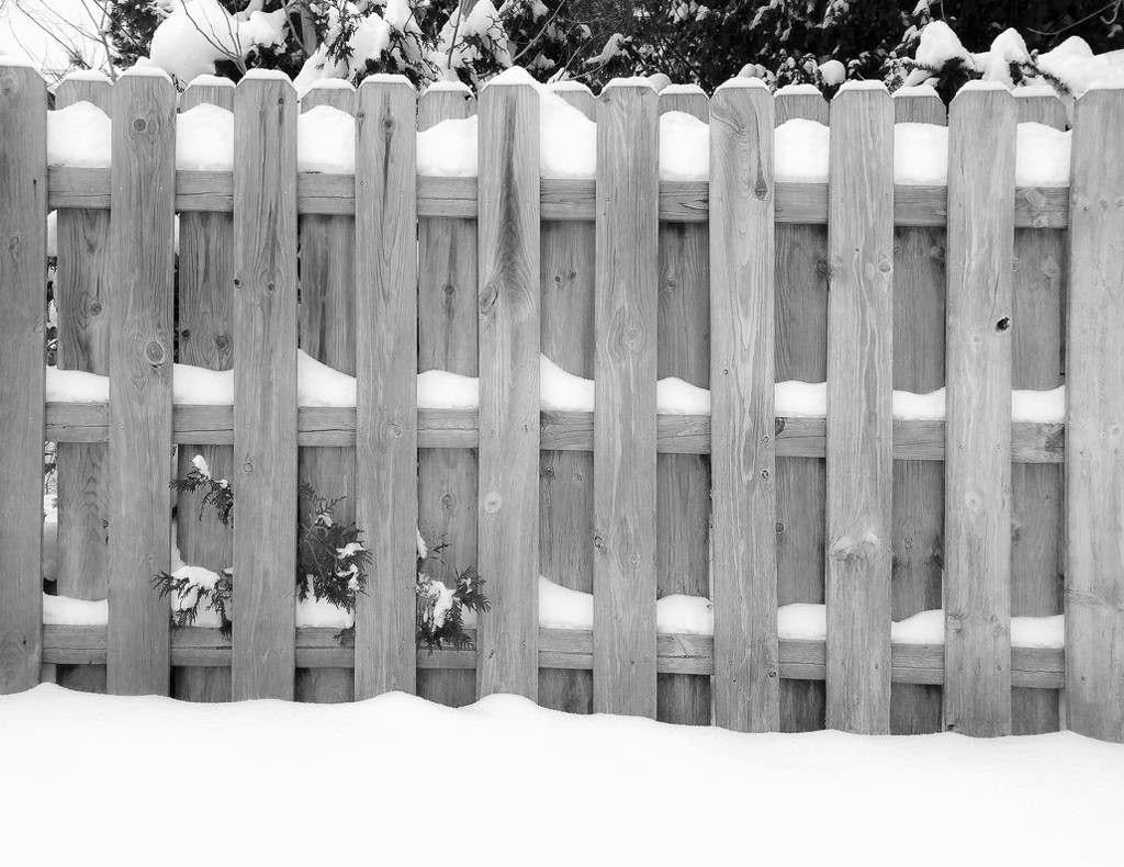 Snowy Fence by houser934
