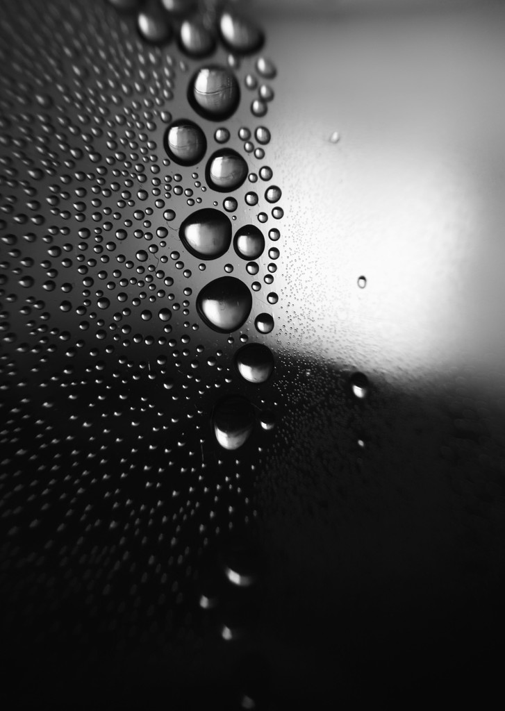Condensation in B&W by m2016