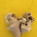 Heart of shells.  by cocobella