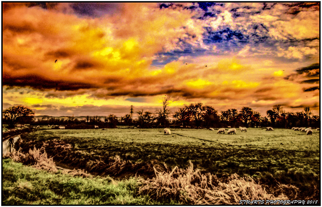 Sunrise over the fields  by stuart46